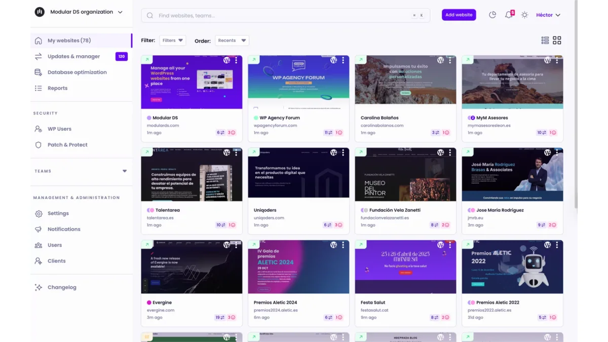Modular DS dashboard showing a portfolio of managed WordPress websites